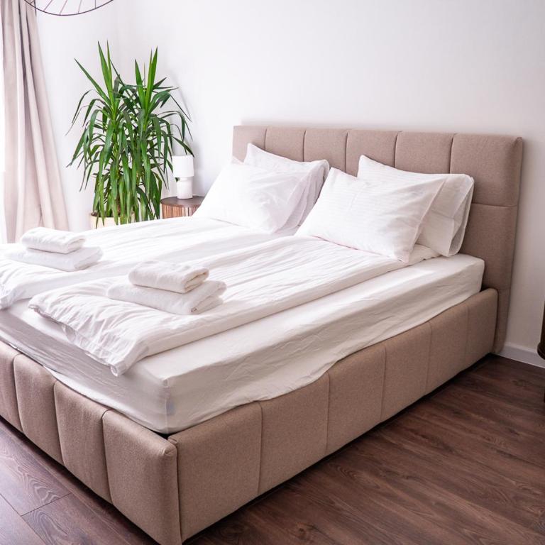 Cheyf Oasis - Appartement 2 Chambres - 25