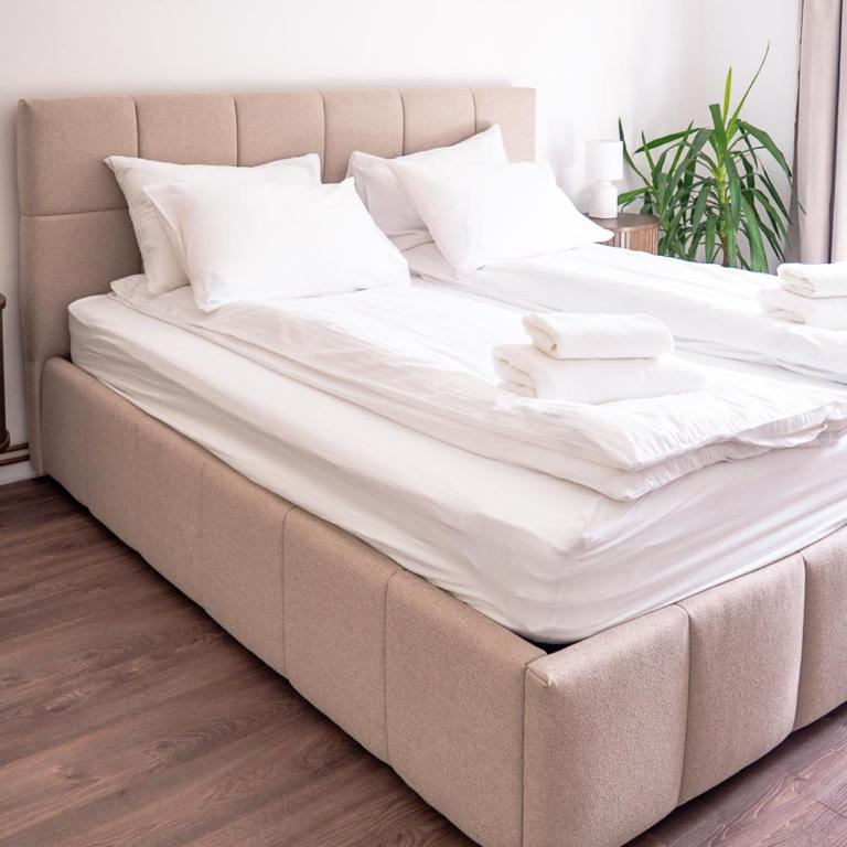Cheyf Oasis - Appartement 2 Chambres - 21