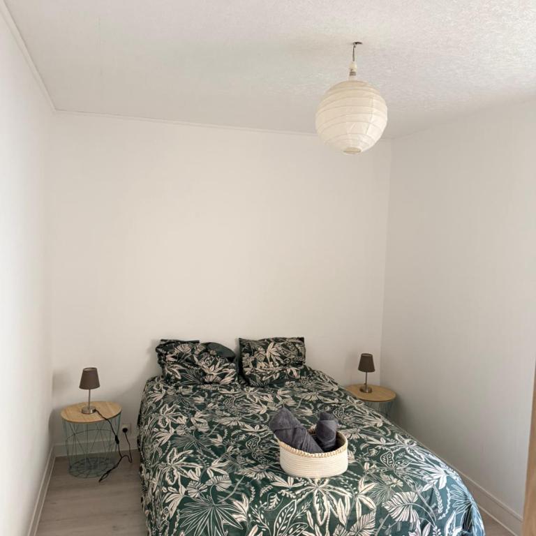 La ville bleue 44m2 appartement centre-ville - Appartement 1 Chambre - 4