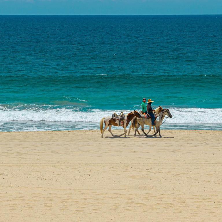 Beachfront 3BR Condo at Tortuga Bay by The Agency Baja Travel - Apartamento - 31