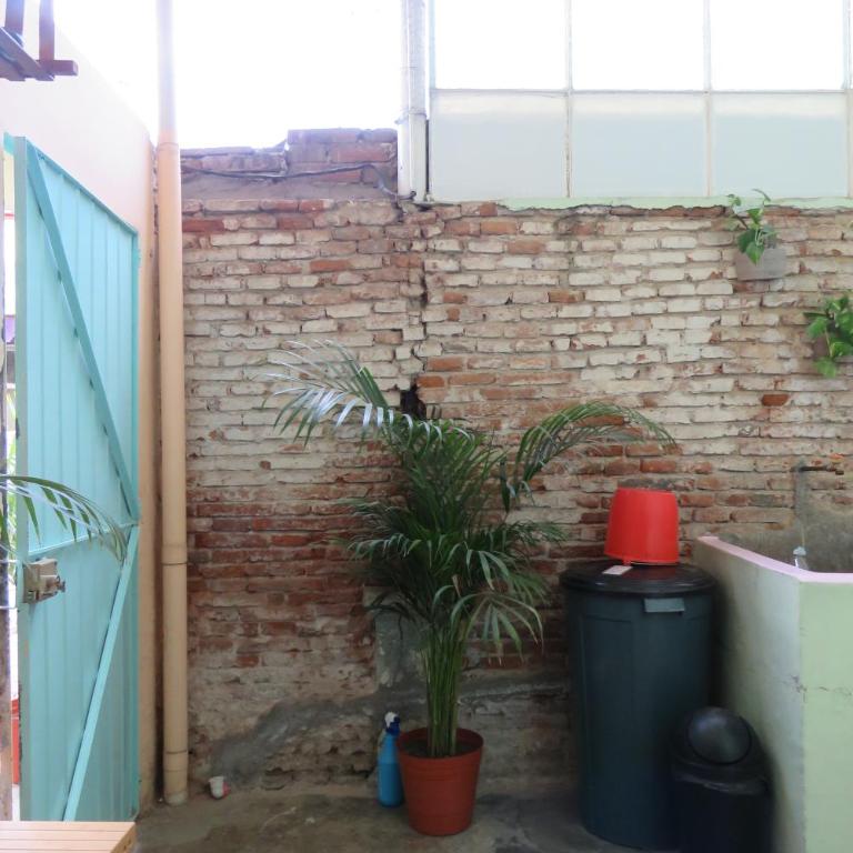 Bonito Departamento - Oaxaca Centro - Apartamento de 1 dormitorio - 13