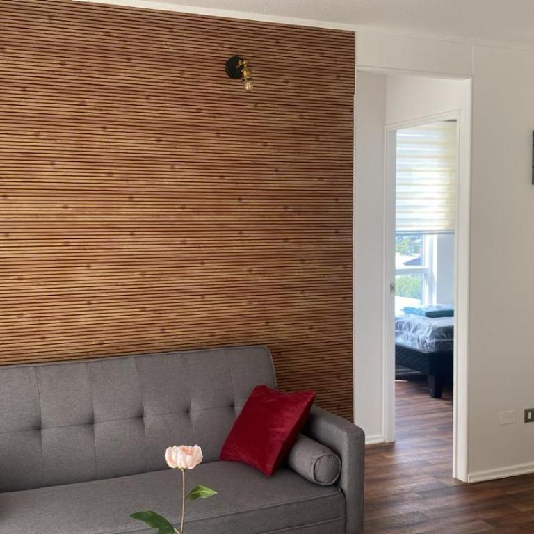 Villarrica Céntrico - Three-Bedroom Deluxe Apartment - 1