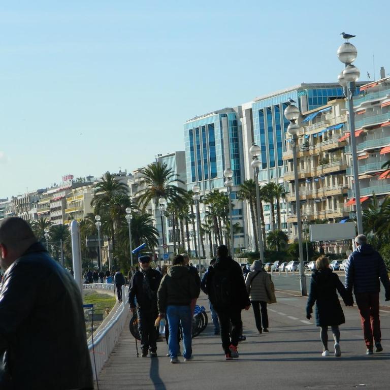 Joelle & Marc Nice 2 bedrooms apartment, near beach, AC, parking lot - Appartement 1 Chambre - 10