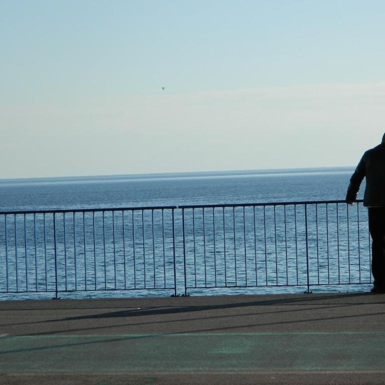 Joelle & Marc Nice 2 bedrooms apartment, near beach, AC, parking lot - Appartement 1 Chambre - 12