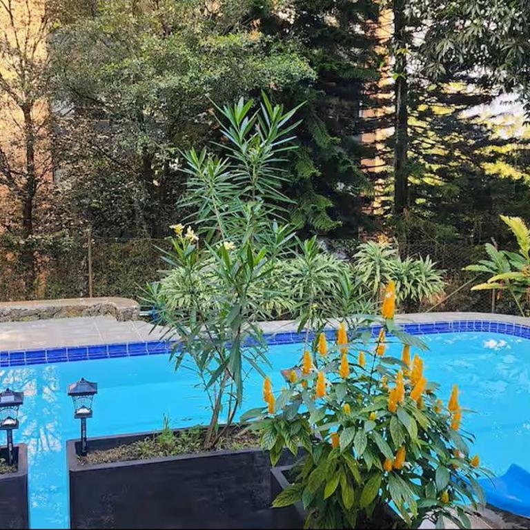 Apartamento en el Poblado cerca a Provenza by Medellin Travels - Apartamento Superior de 1 dormitorio - 8