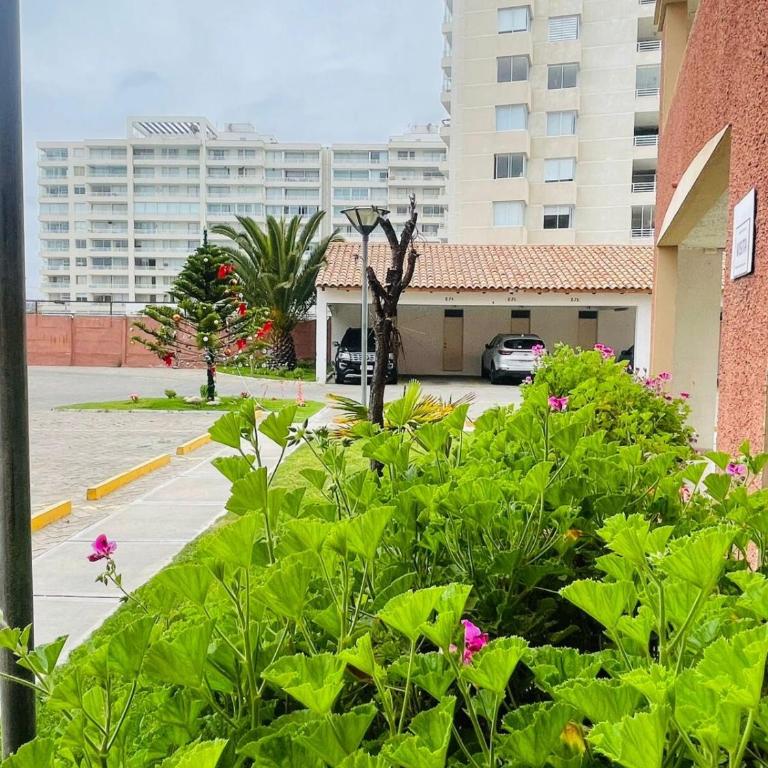 Oceanfront apartment La Serena - Apartamento de 3 dormitorios - 15