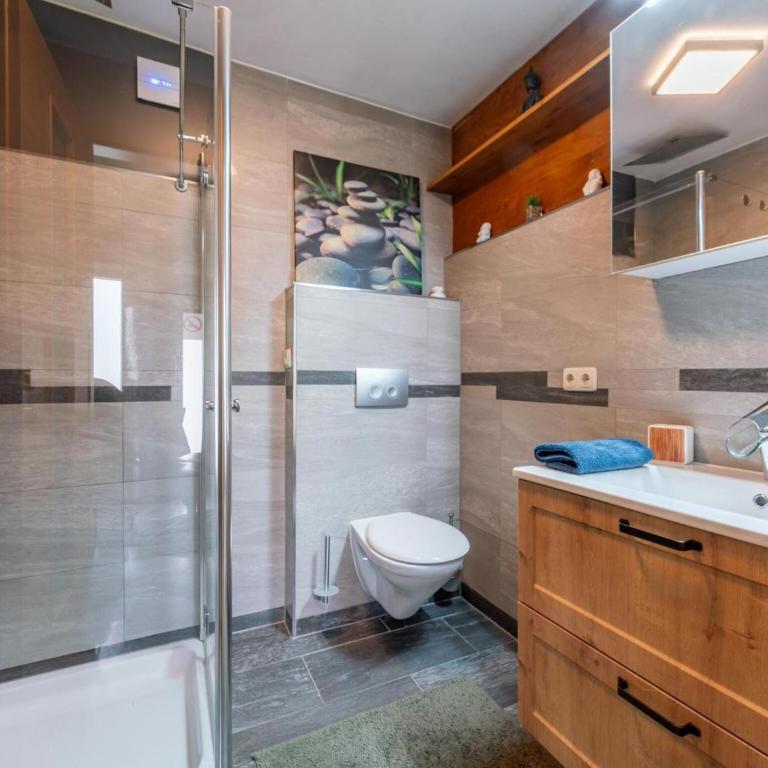 Beautiful holiday apartment near Zell am See - Apartment mit 1 Schlafzimmer - 30