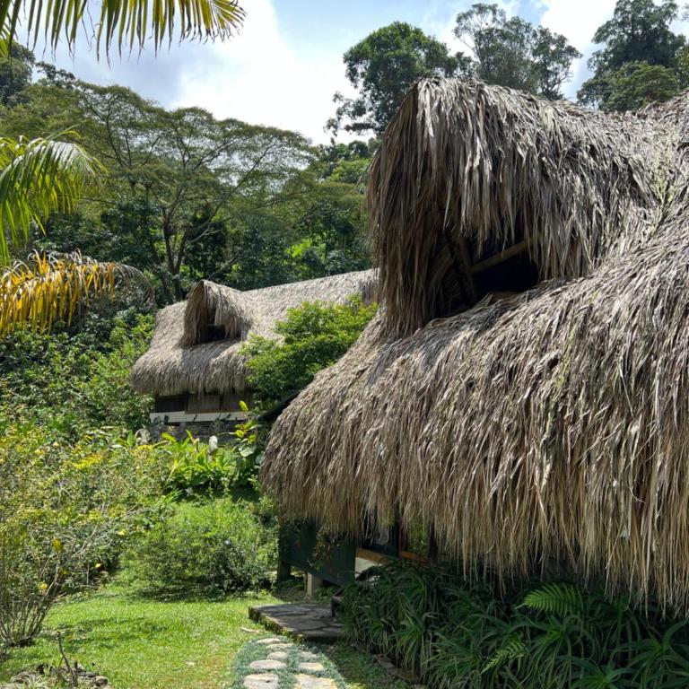Ecolodges La Nuit - Bungalow Superior - 10