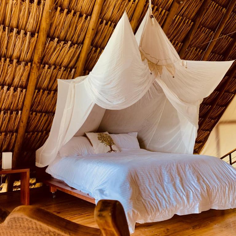 Ecolodges La Nuit - Bungalow Deluxe con vistas al jardín - 10