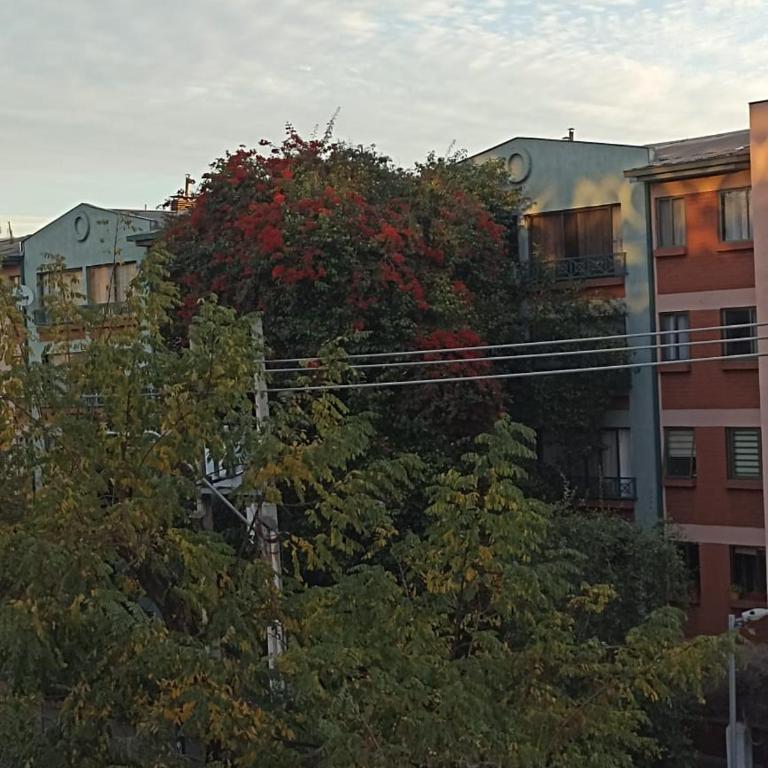 Departamento junto a Movistar Arena, Metro y Parque o'higgins - One-Bedroom Apartment - 26