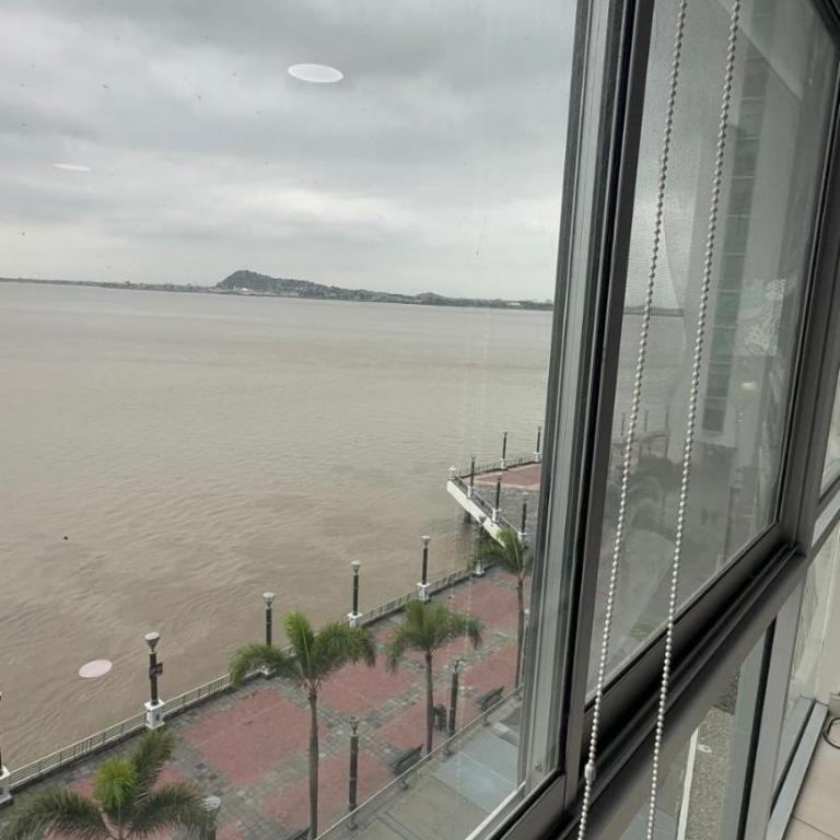 River Front 2 - Apartamento de 1 dormitorio - 1