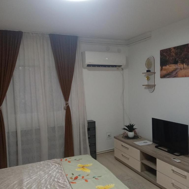 Apartmani Nana - Apartman sa 2 Spavaće Sobe - 18