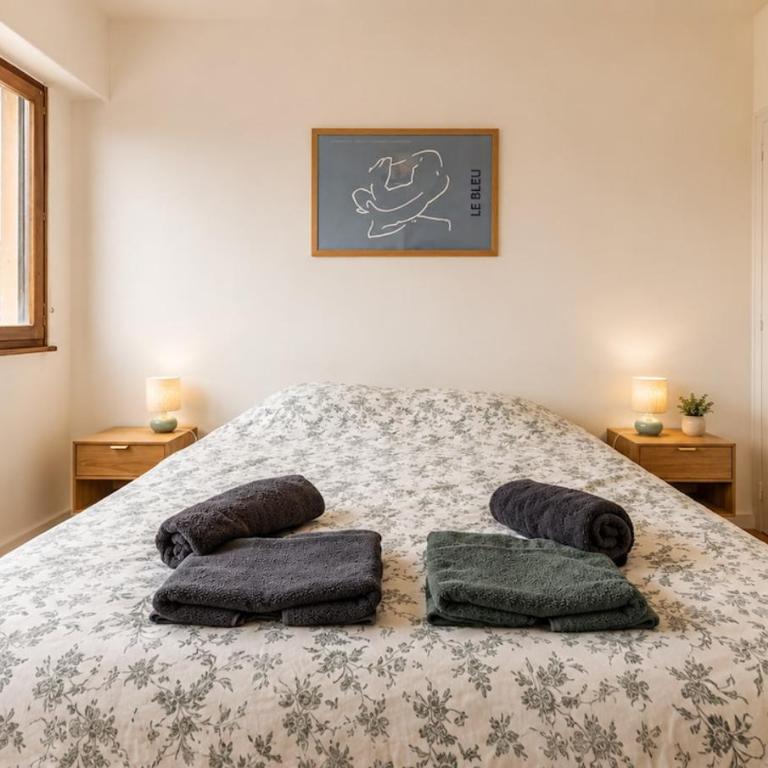 L'étoile du Léman au coeur de Thonon, à 1 min des Thermes avec garage - Appartement - 2