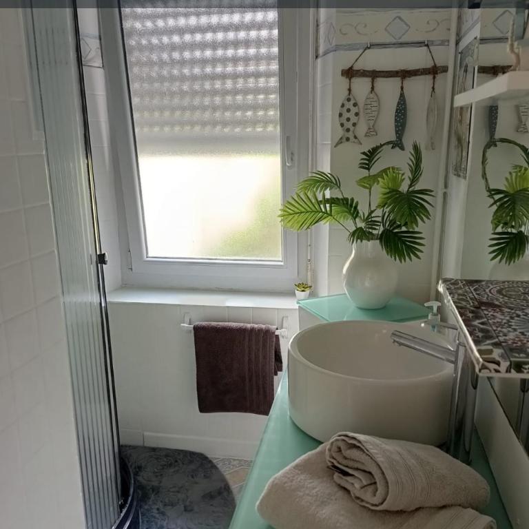apartement avec parking prive - Appartement - Rez-de-Chaussée - 5