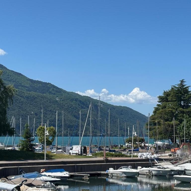 Appart au Grand Port Terrasse, Jardin Privé et Garage inclus - Appartement 1 Chambre - 11