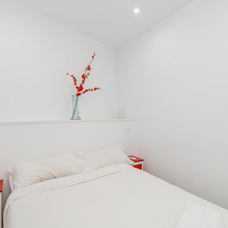 Apartamento reformado en Lavapiés, Madrid centro - Appartamento con 2 Camere da Letto - 42