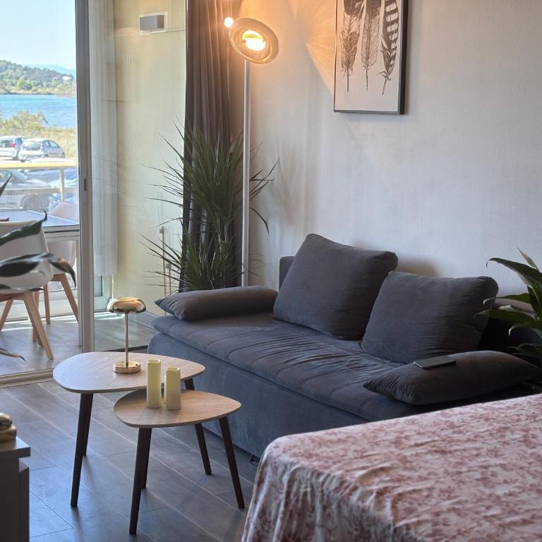 Appartement Front de Mer entre l'étang de Villepey et la plage - Appartement 1 Chambre - 9