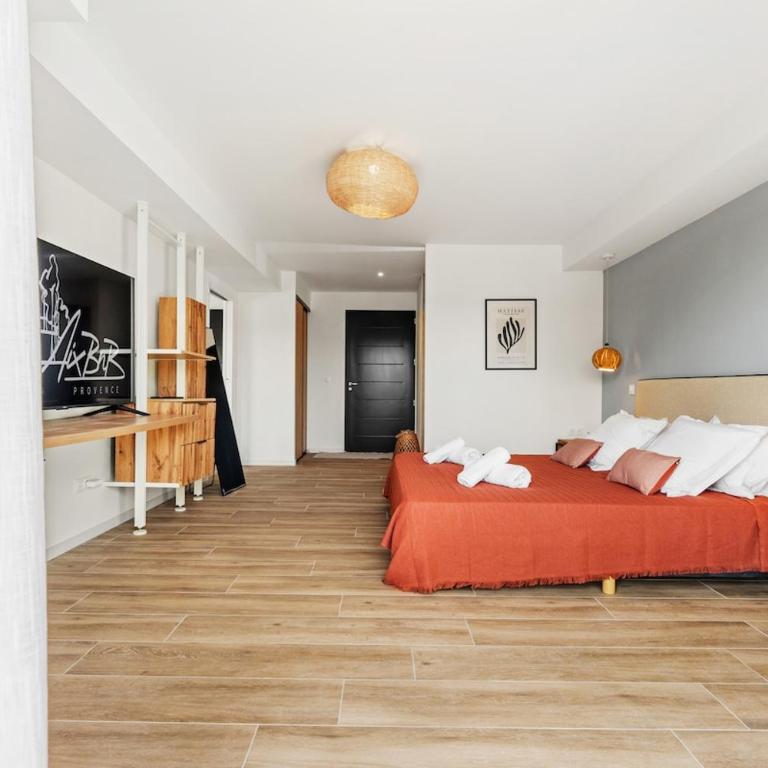 Luxury 3-bedroom apartment, air-conditioned, with spa - Appartement - 47
