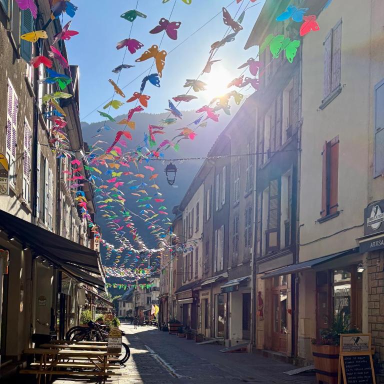 Maison Viennois, Fabulous Bike Friendly Town House, Bourg d'Oisans centre - Maison de Vacances 4 Chambres - 16