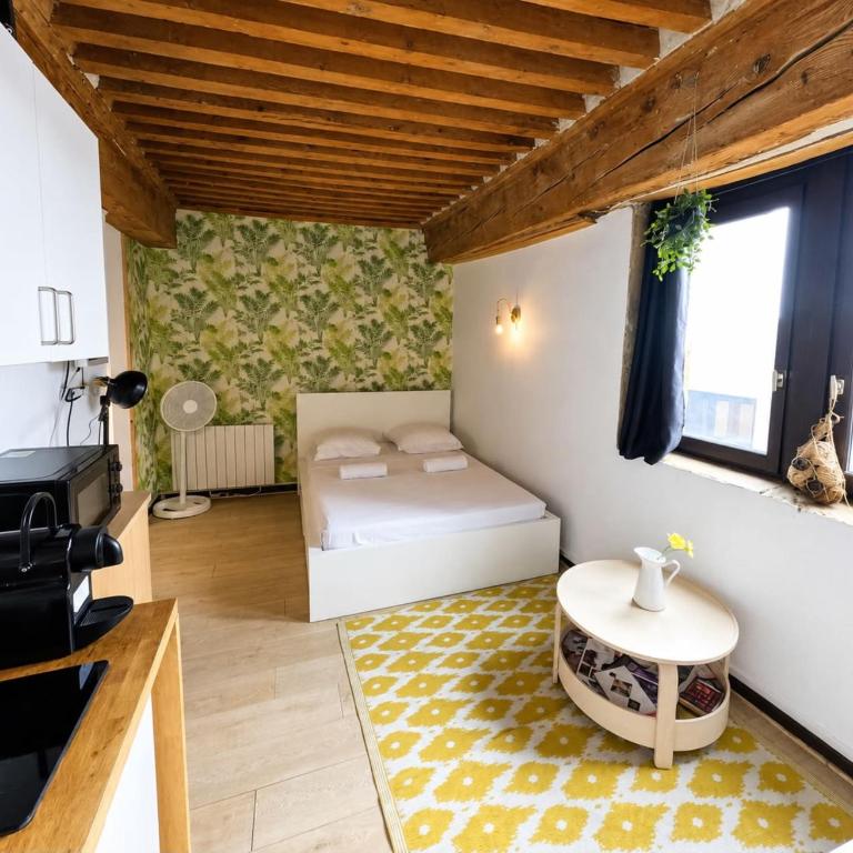 Charming 21m studio - Opéra & Terreaux Lyon - Estudio - 1
