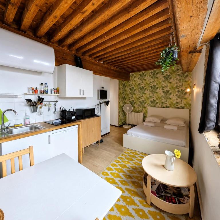 Charming 21m studio - Opéra & Terreaux Lyon - Estudio - 3