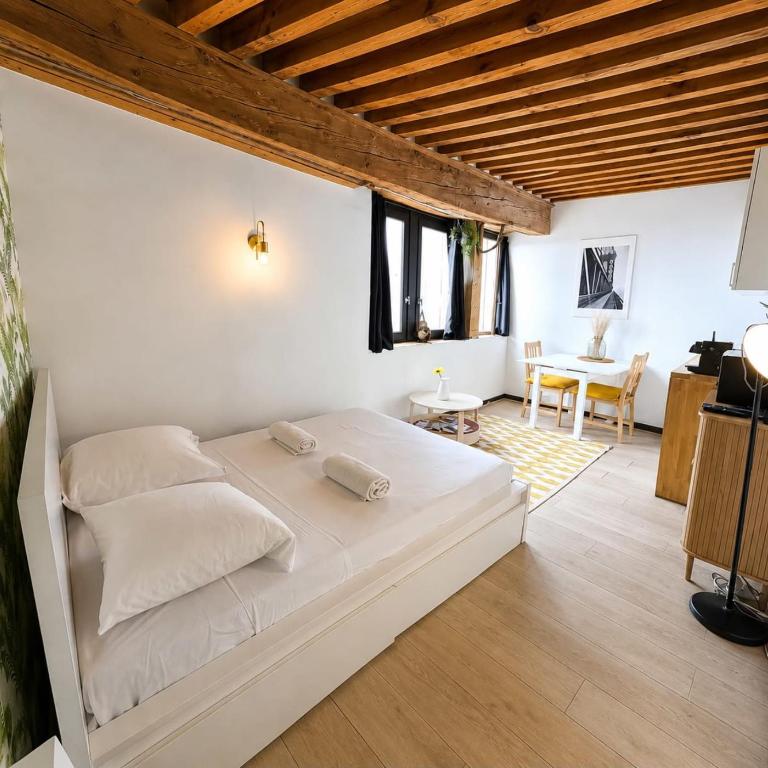 Charming 21m studio - Opéra & Terreaux Lyon - Estudio - 4