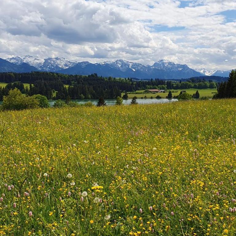 I love Ostallgäu Lodge - Haus mit 2 Schlafzimmern - 38