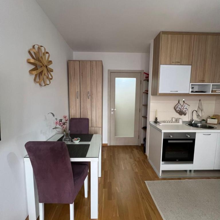 Stari Aerodrom Studio with Private Parking - Studio mit Schlafsofa - 19