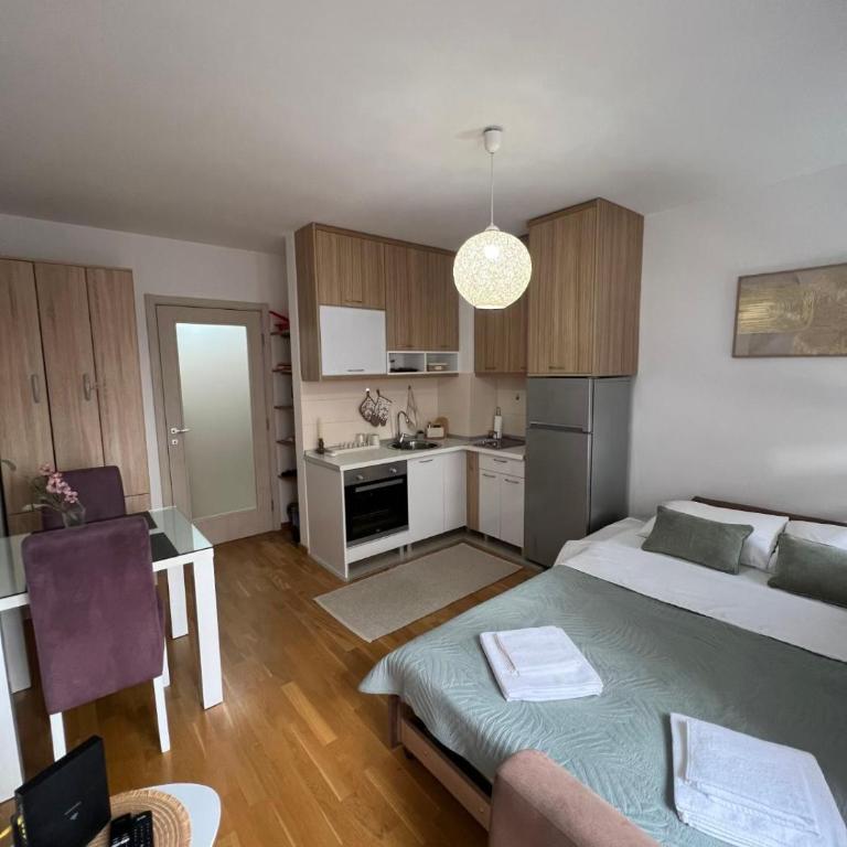 Stari Aerodrom Studio with Private Parking - Studio mit Schlafsofa - 22