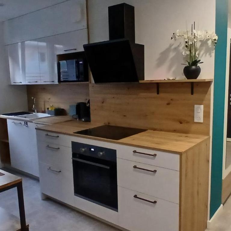 Rdc Annecy - Appartement 1 Chambre - 1
