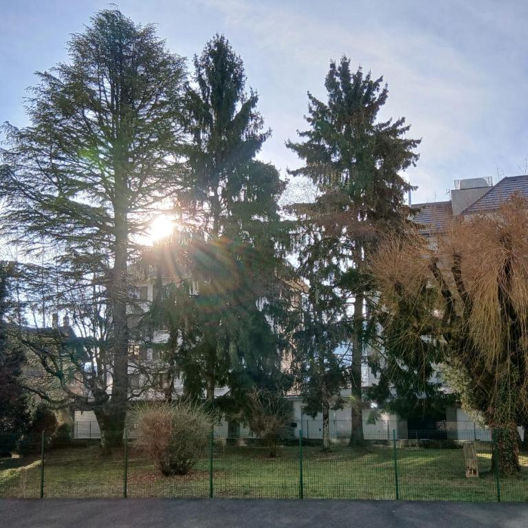Rdc Annecy - Appartement 1 Chambre - 5