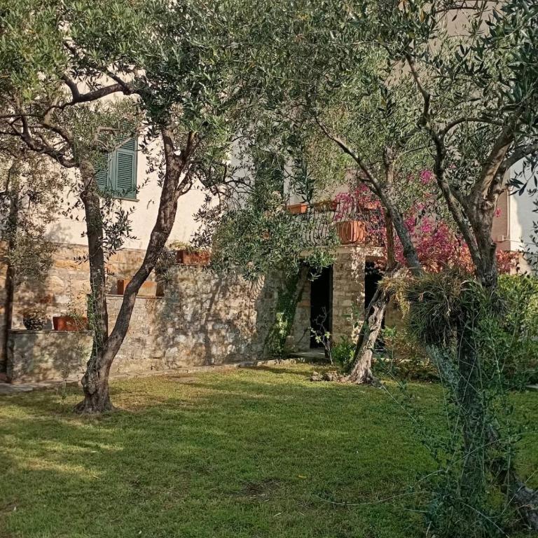 San Michele di Pagana, with parking, 5 min from the beach - Appartamento - 49