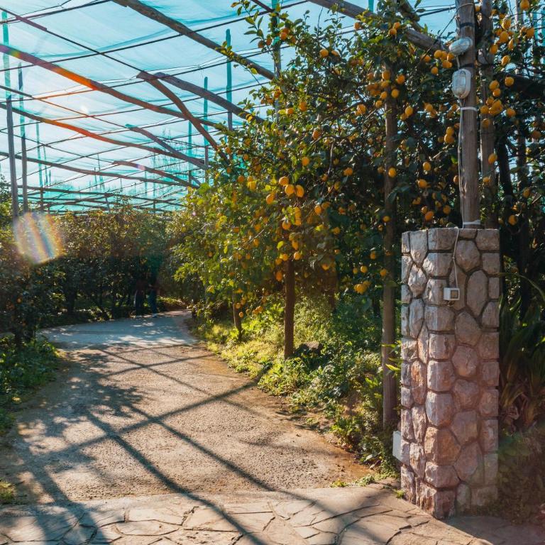Villa LemonSun Sunset Sorrento Amalfi Coast Sea View - Casa con 2 Camere da Letto - 41