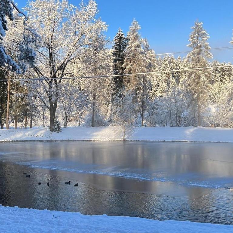 Haus mit Fischteich Natururlaub für Familien & Hunde - Apartment - 18