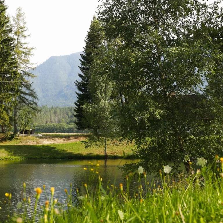 Haus mit Fischteich Natururlaub für Familien & Hunde - Apartment - 22