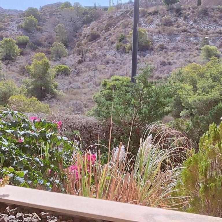 Apartamento isla del fraile Águilas - Appartement - Vue sur Piscine - 21