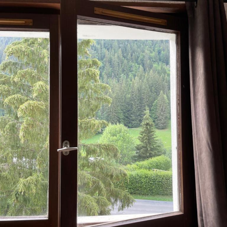 Studio proche Linga - Appartement 1 Chambre - 3