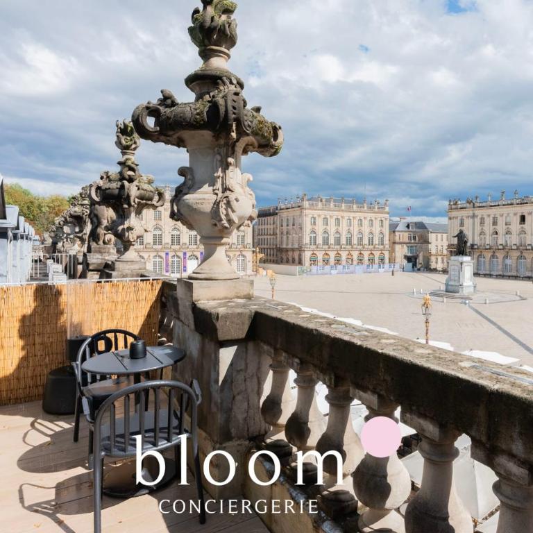 L'Émeraude Stanislas Terrasse privée sur la Place Stanislas - Appartement - 1