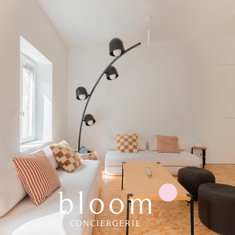 L'Émeraude Stanislas Terrasse privée sur la Place Stanislas - Appartement - 13