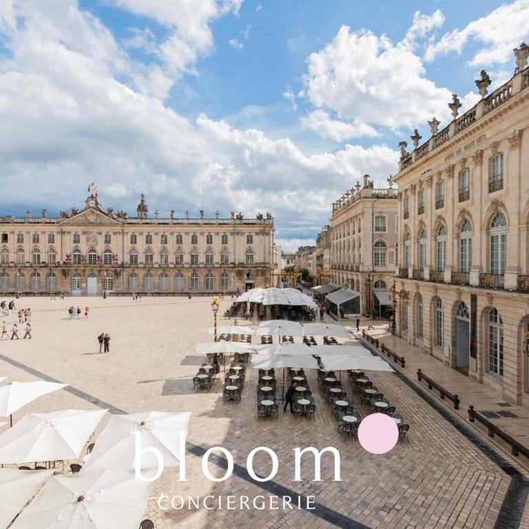 L'Émeraude Stanislas Terrasse privée sur la Place Stanislas - Appartement - 14