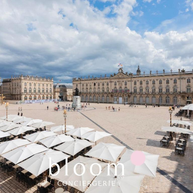 L'Émeraude Stanislas Terrasse privée sur la Place Stanislas - Appartement - 15