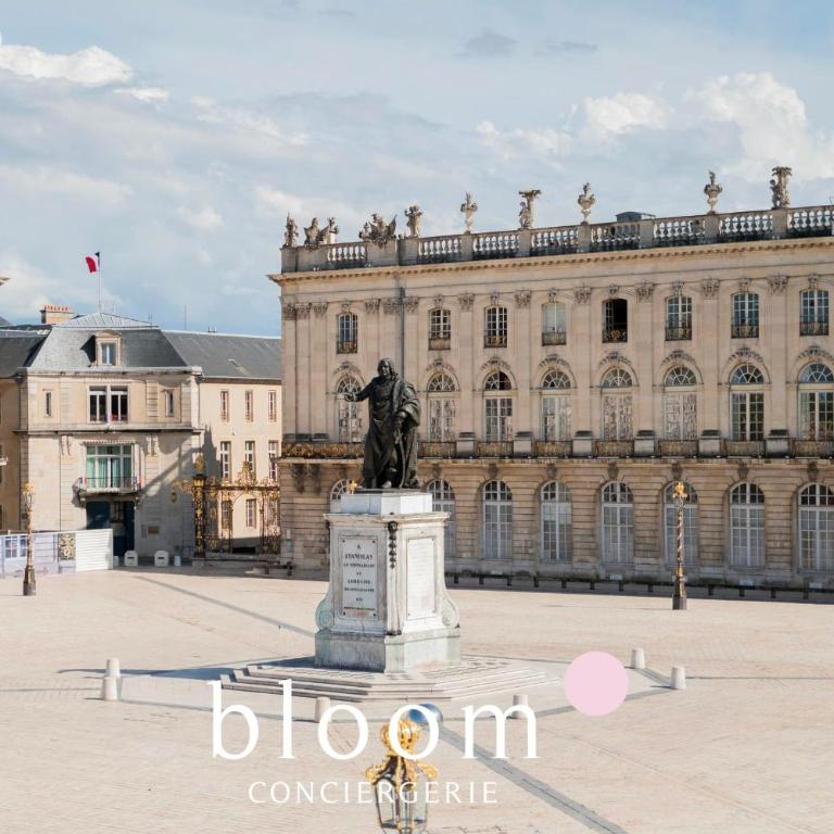 L'Émeraude Stanislas Terrasse privée sur la Place Stanislas - Appartement - 18