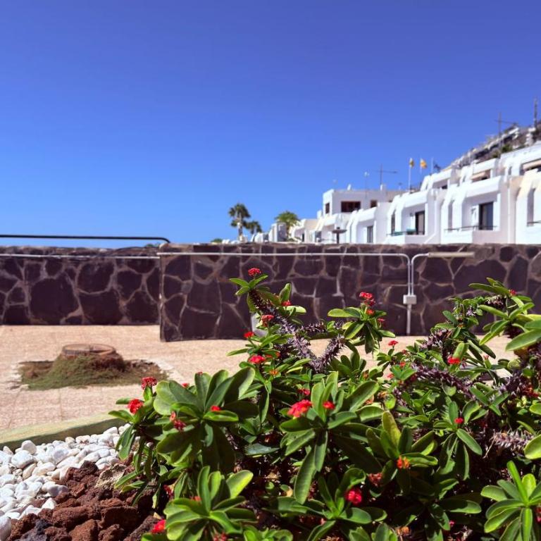 Sunny Sea View Puerto Rico by Alquiler de Sueno - Casa Vacanze - 46