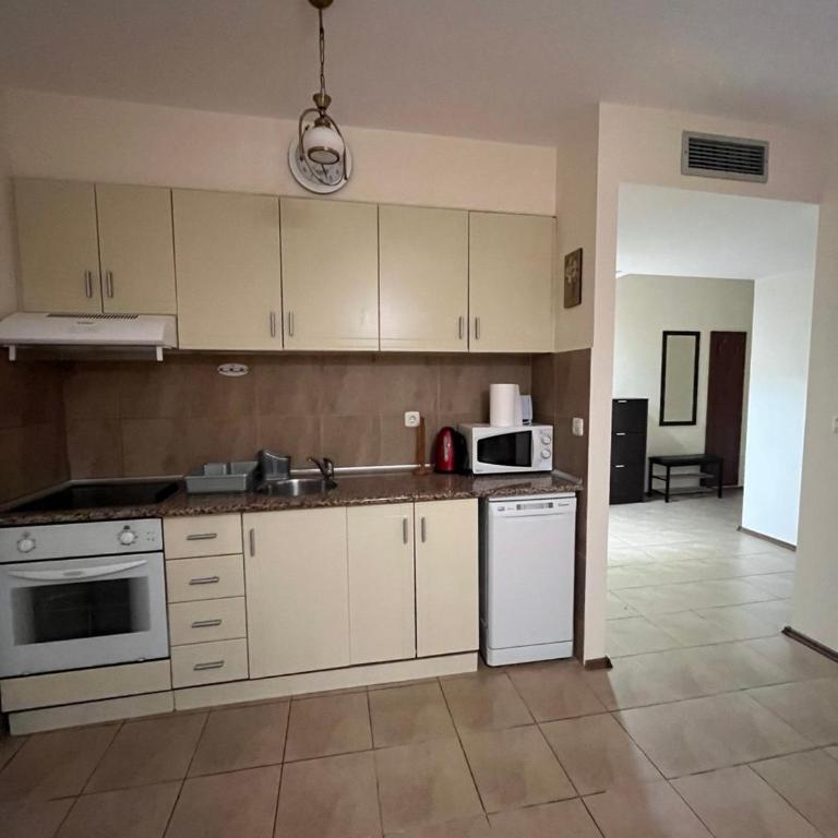 Tamara's Sea View Apartment in Bečići - Apartman sa 1 Spavaćom Sobom - 9