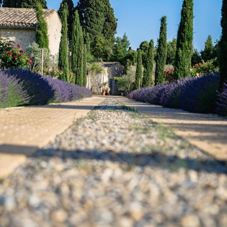 Mas Romainho Luxury and Charm in St Rémy - Villa - 69