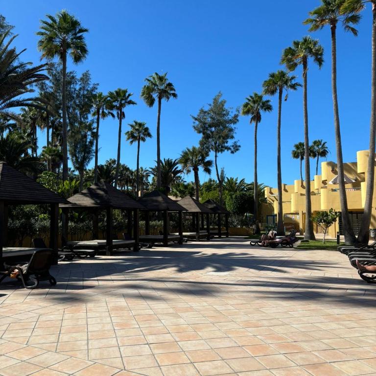 Amarilla Sol - Apartamento de 1 dormitorio - 20