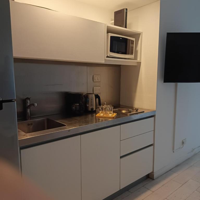 IQ Recoleta Plaza By Rapport Diseño en Recoleta Frente a Plaza Vicente López - Family Junior Suite - 10