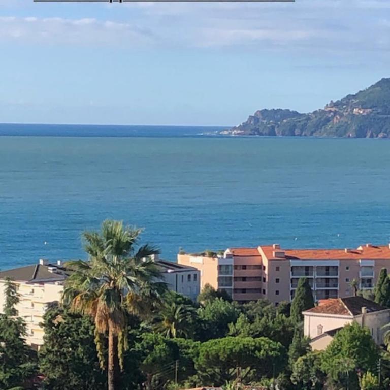 Sea views and beautiful pool - Apartment - 28