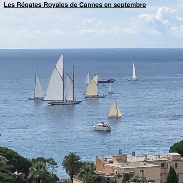 Sea views and beautiful pool - Apartment - 29