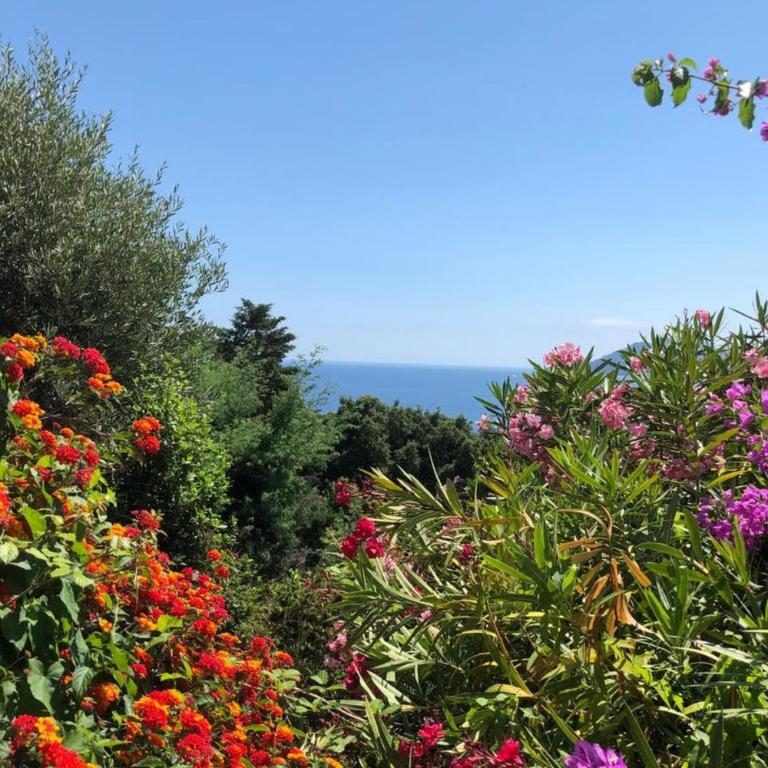 Sea views and beautiful pool - Apartment - 31